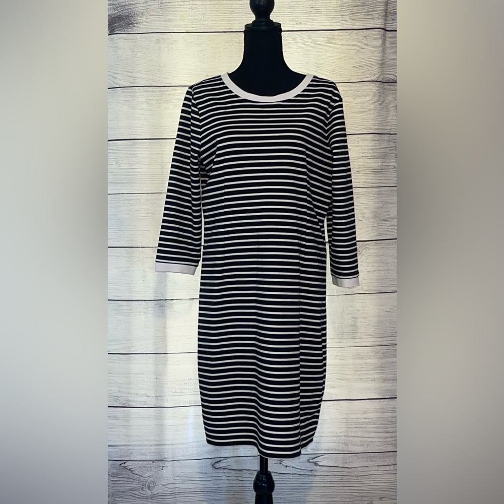 Ann Taylor Monochrome Striped Long Sleeve Dress